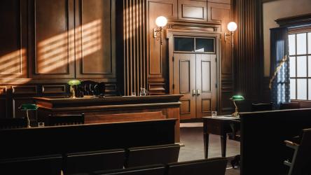 Real Estate Litigation