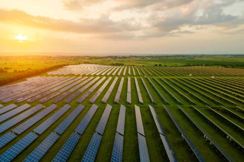 Solar Farm Warranty Claim