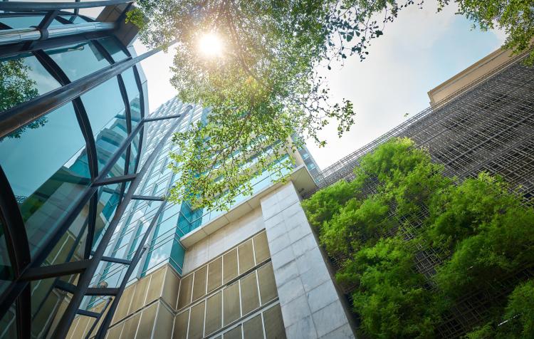Commercial Real Estate Litigation
