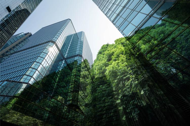 Regulatory and Environmental